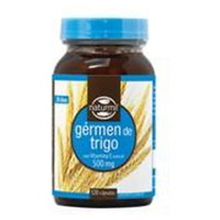 Gérmen de Trigo
