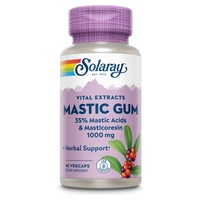 Mastic Gum