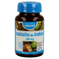 Castaño de Índia