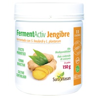 FermentActiv Jengibre
