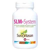 Slm System