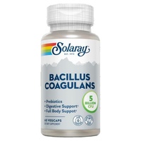 Bacillus coagulans